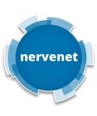 nervenet web design