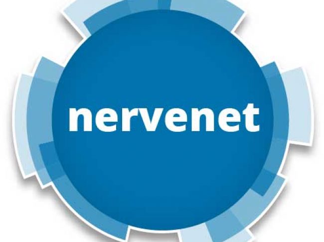 nervenet web design